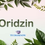 Unveiling Oridzin: A Novel Perspective