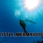 diving-deep-exploring-little_mermaidd0-virtual-ocean